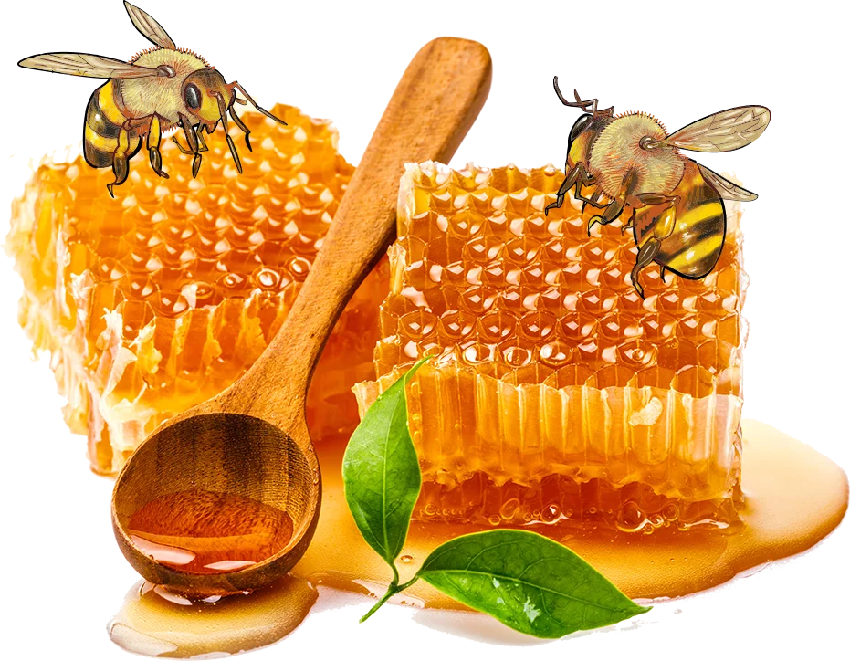 Director, Global Apiaries India Banner