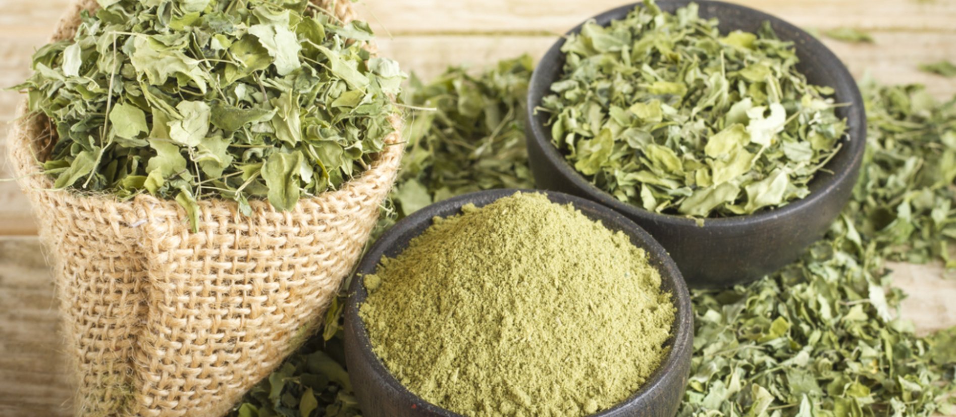 Dhanalakshmi Traders & Export Banner