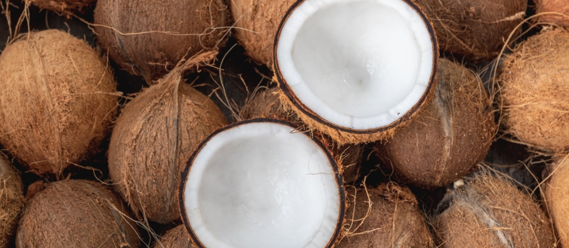 Dhanalakshmi Traders & Export Banner