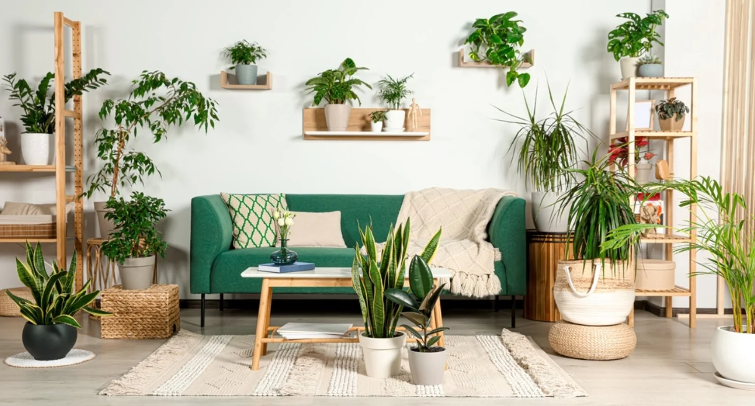 Artique Craft Banner