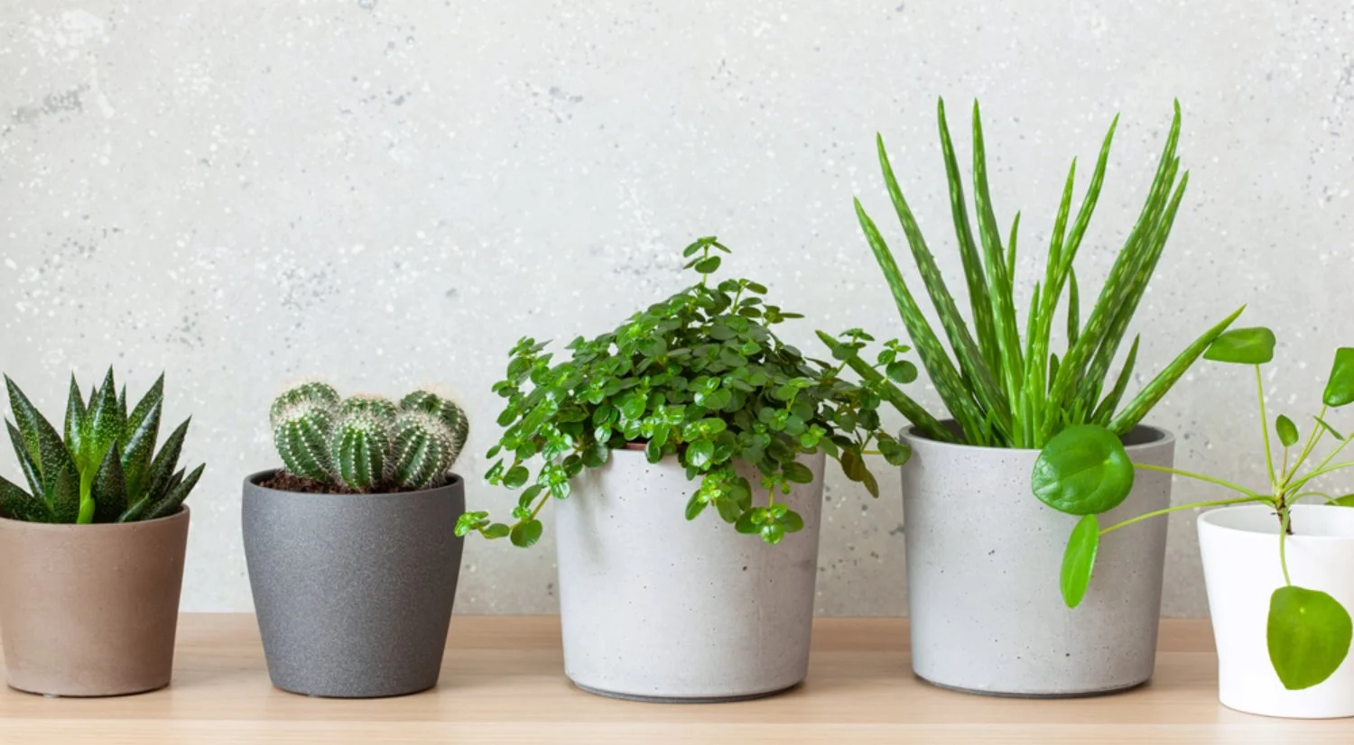 Artique Craft Banner