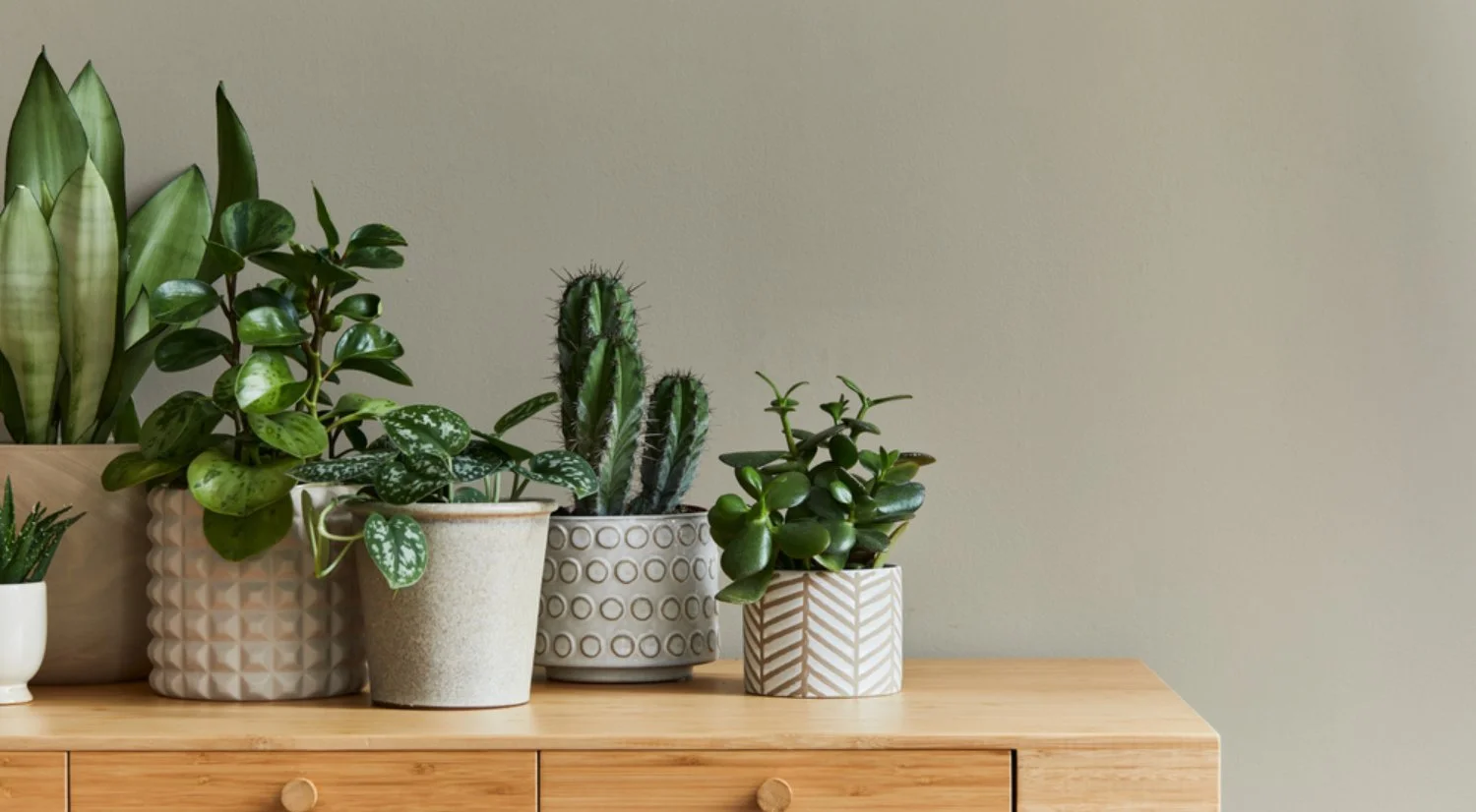 Artique Craft Banner