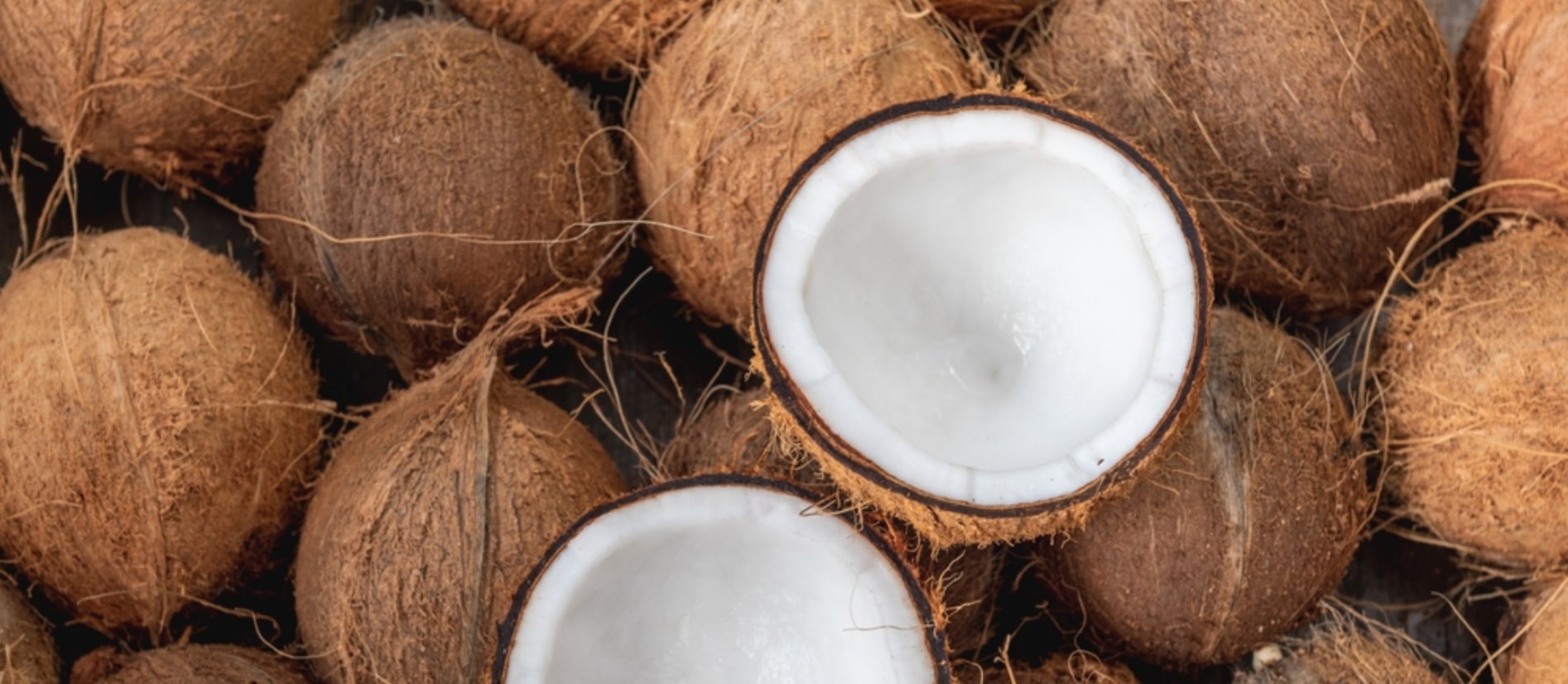 .The Empire exim Banner