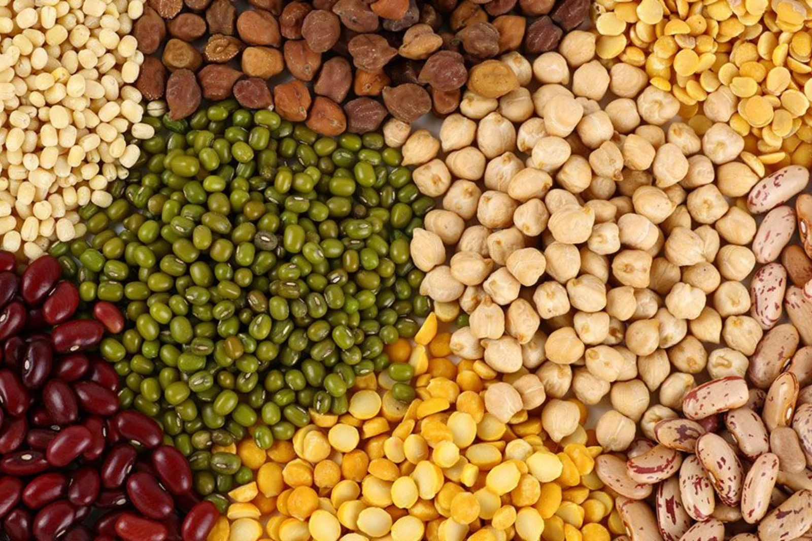 Rajas Exports Banner