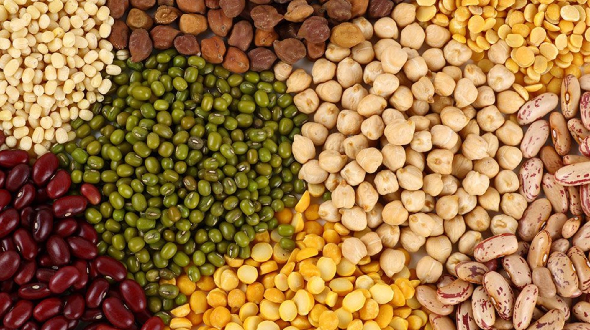 Mitsu Life Science Private Limited Banner