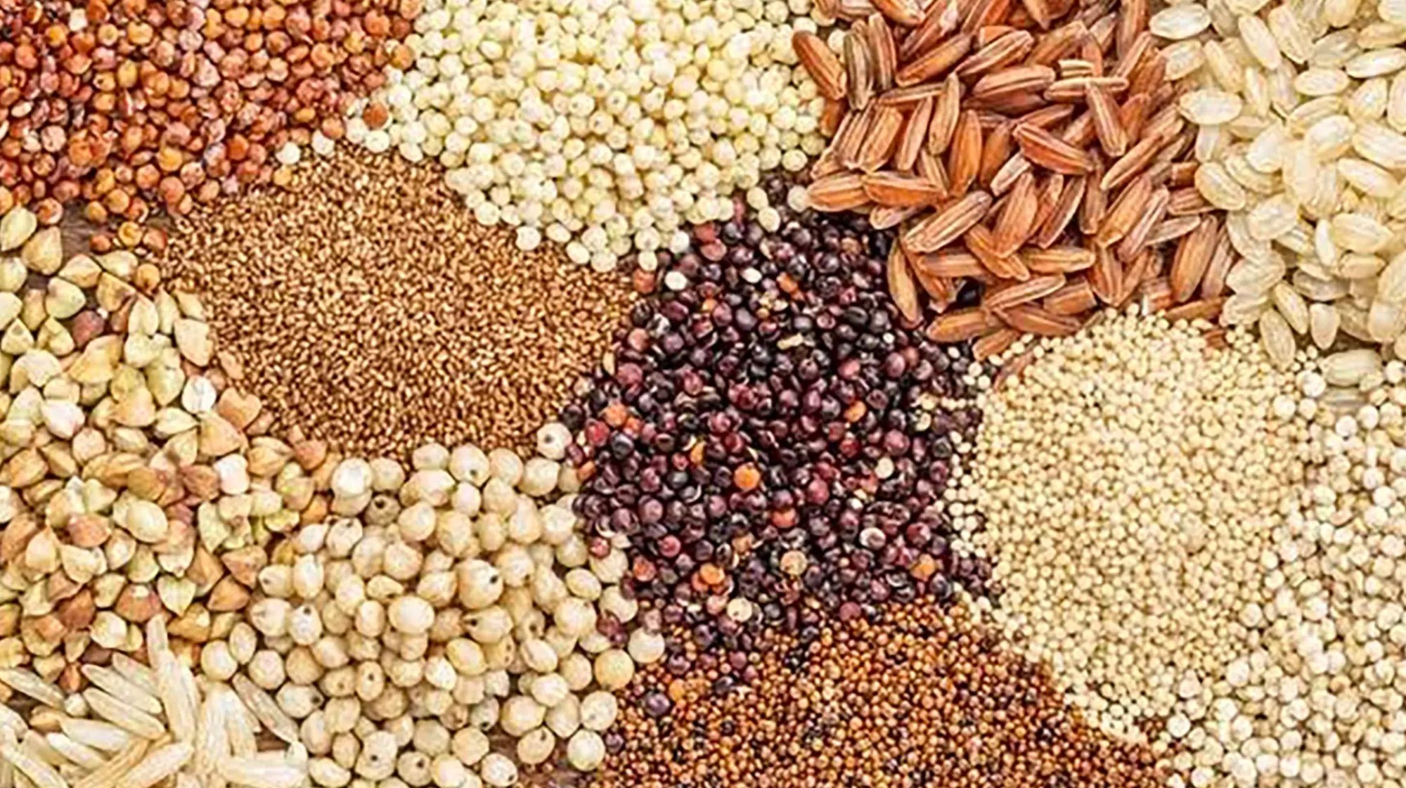 Mitsu Life Science Private Limited Banner