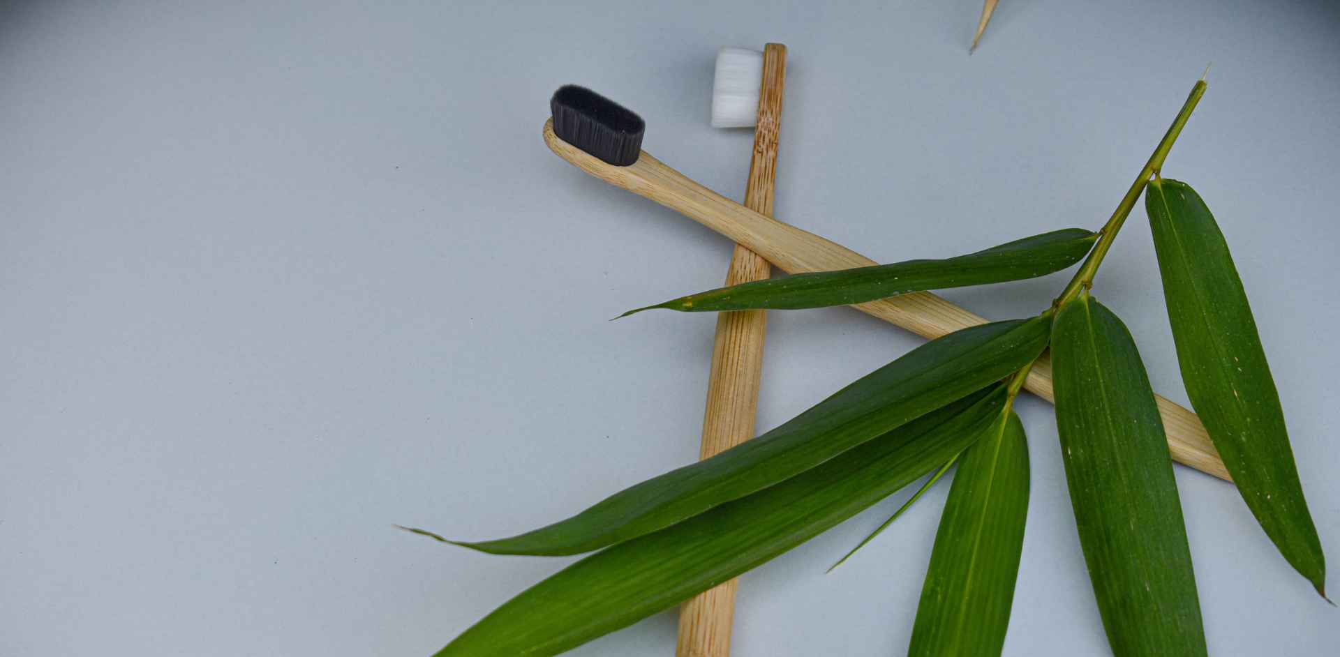 Bamboovision Shetkari Putra Pvt Ltd Banner