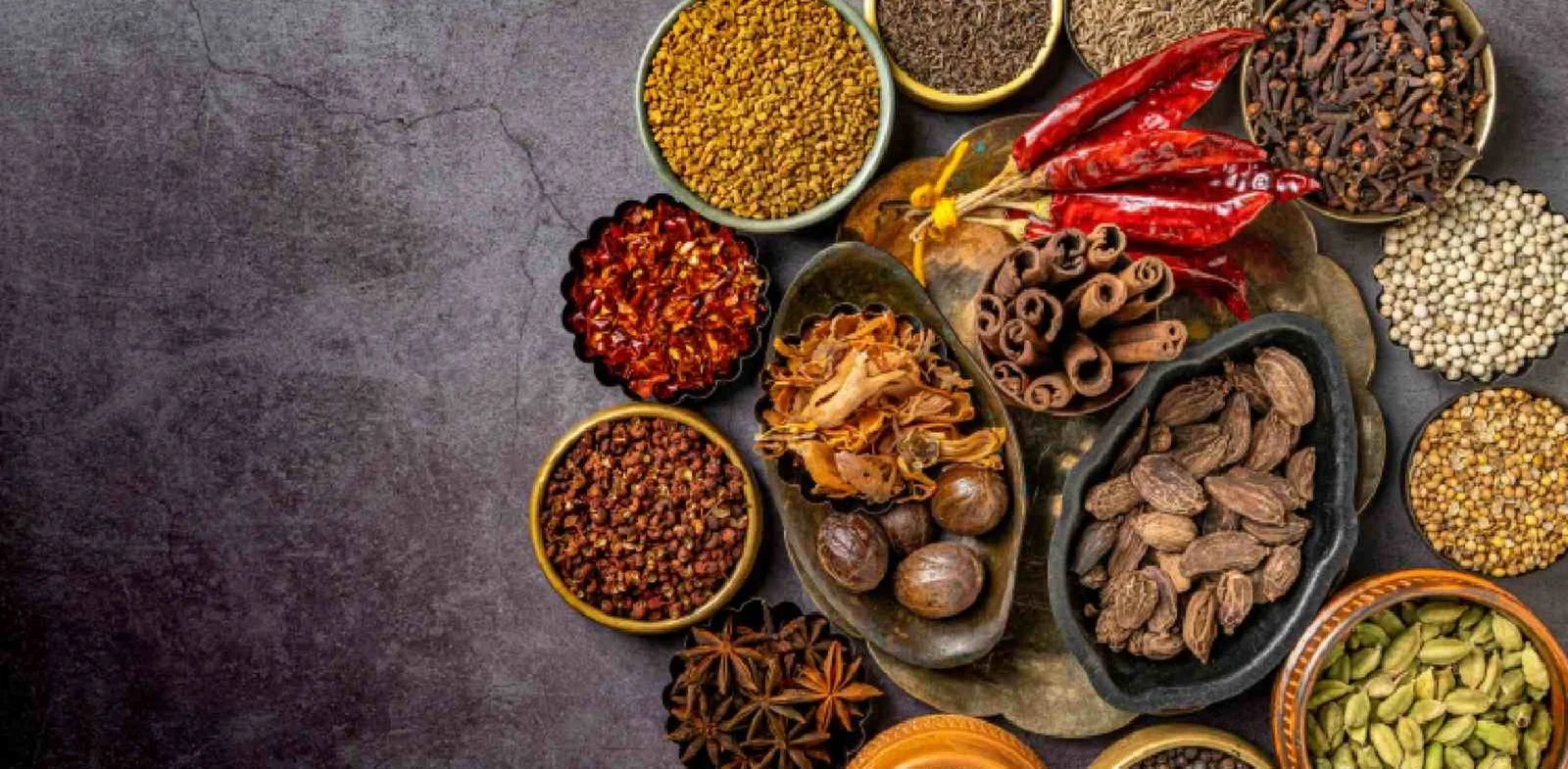 Shrija International Banner