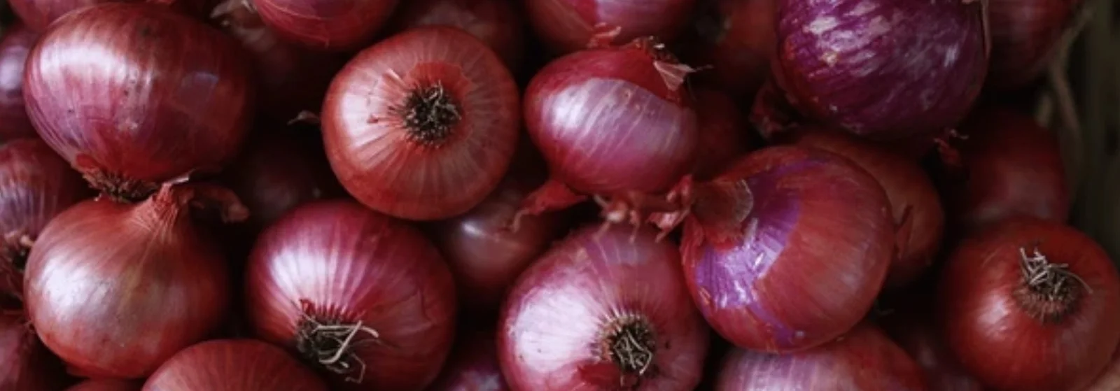 NBN Security Guard Pvt Ltd Banner