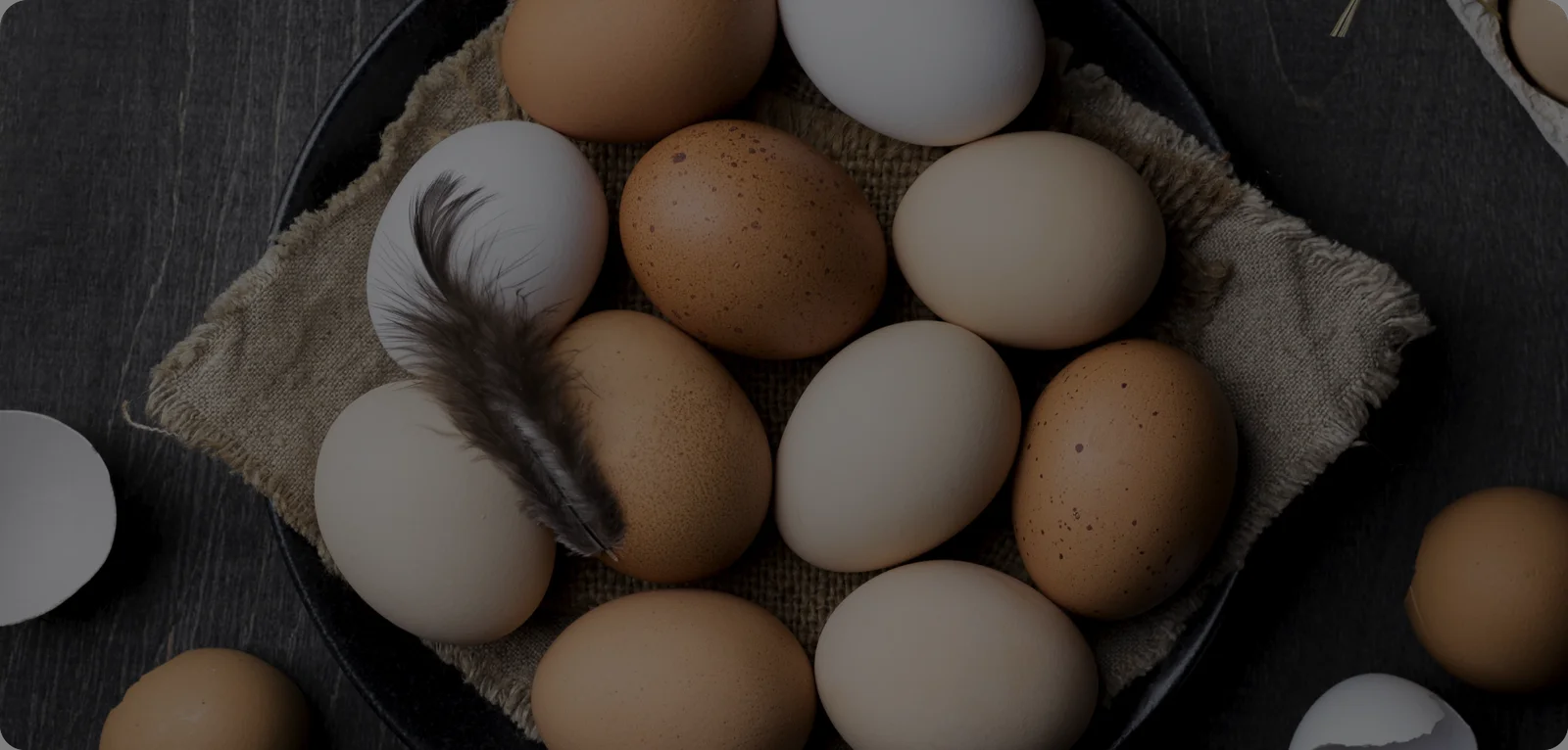 CHOUDHARY FARMS Banner