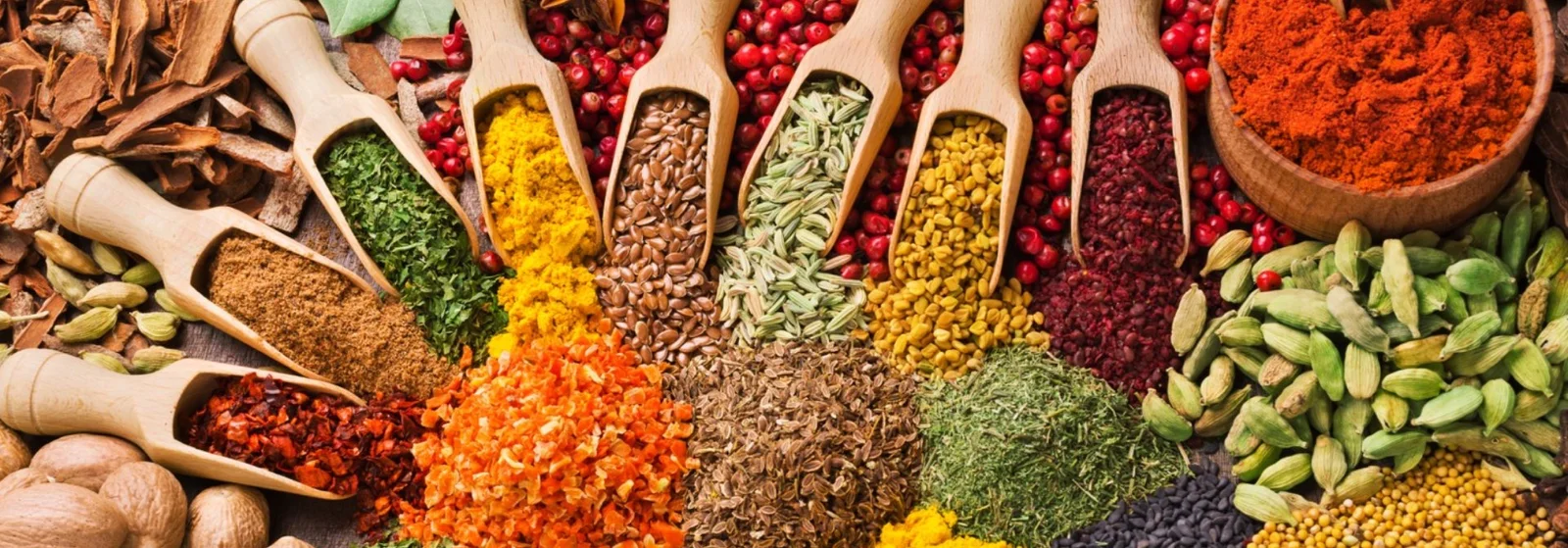 Dada global export Banner