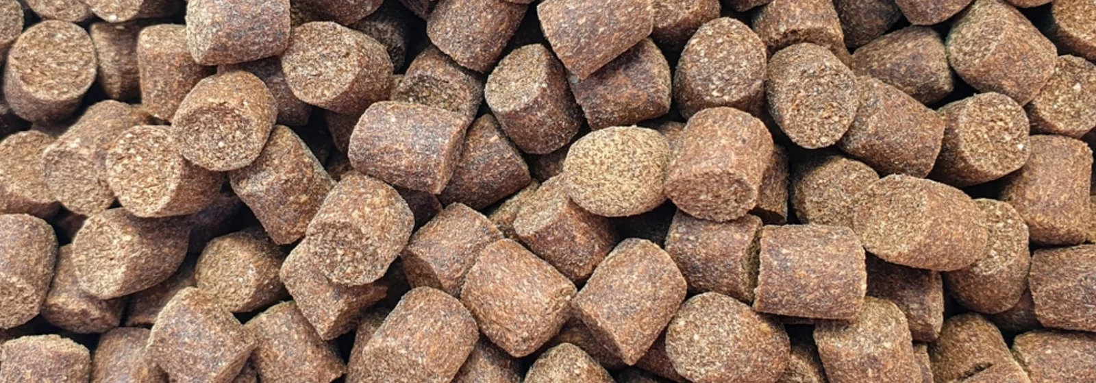 Dada global export Banner