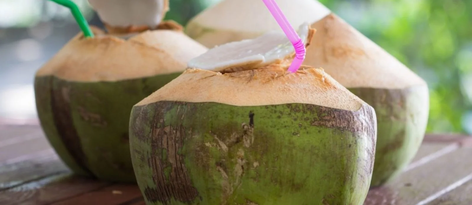 Greenish Enterprises Banner