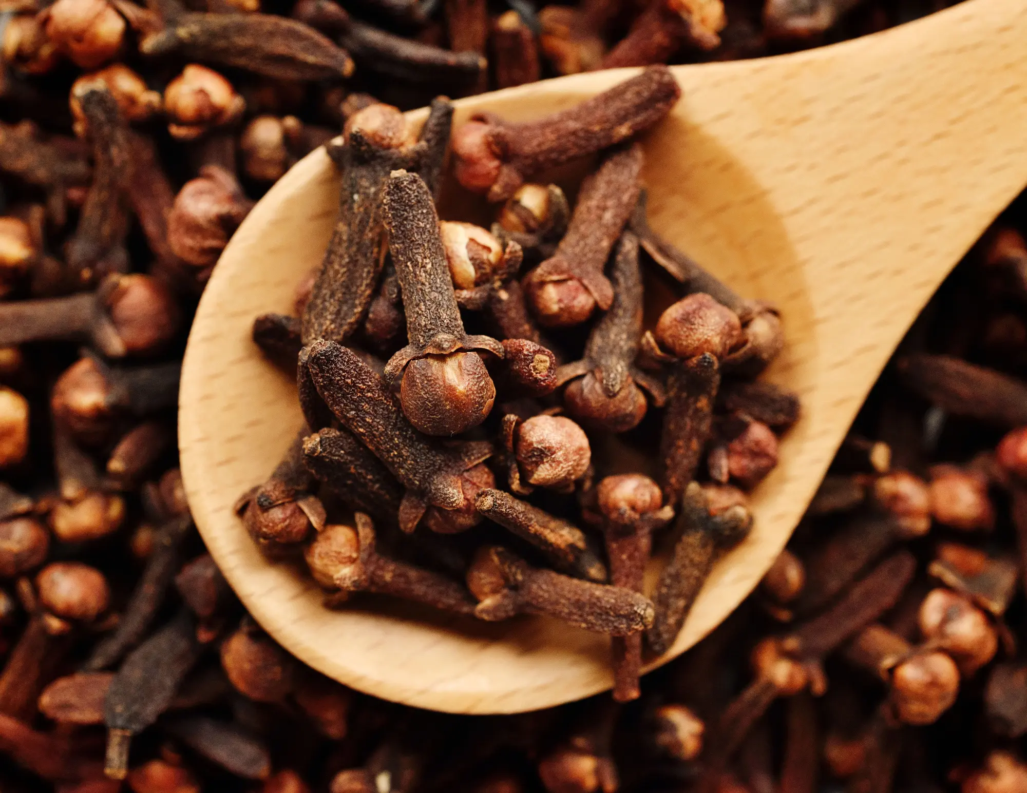 NEWTRON ENDEAVORS PRIVATE LIMITED Banner