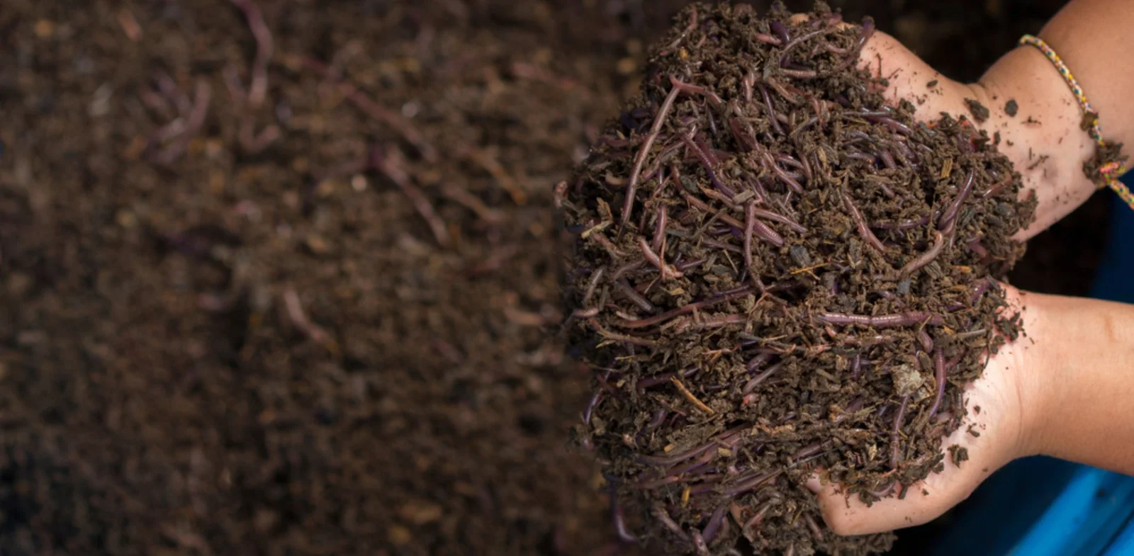 Eesan Organics Banner