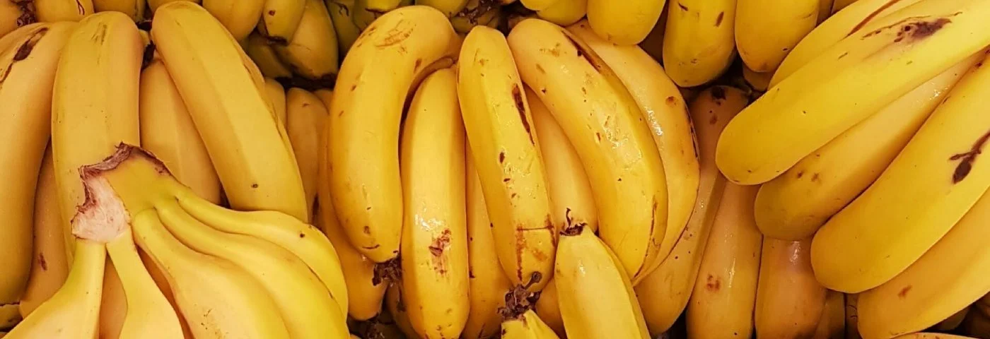 Vishwamitrayu Overseas (OPC) Private Limited Banner