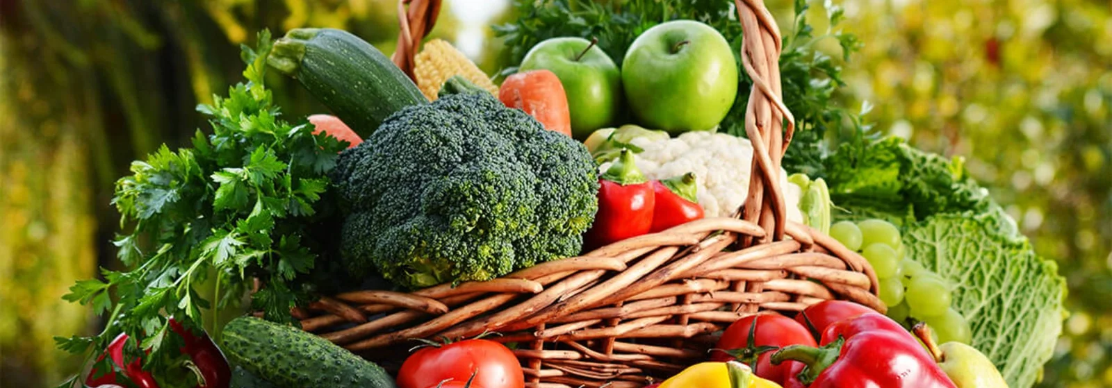 Inayat Enterprises Banner