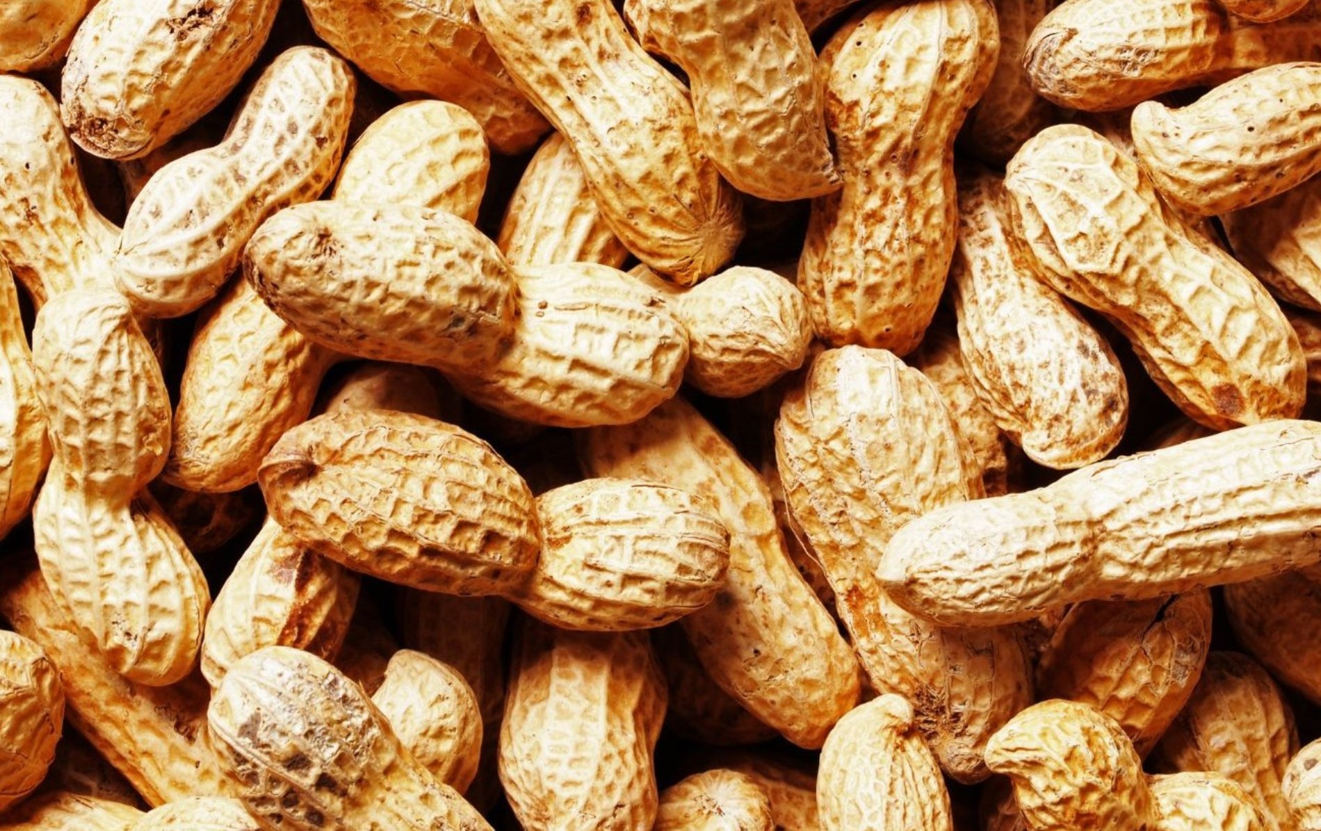 NNE ADVANCED MATERIALS PRIVATE LIMITED Banner