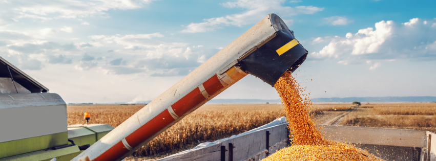 parvaaz Exports LLP Banner