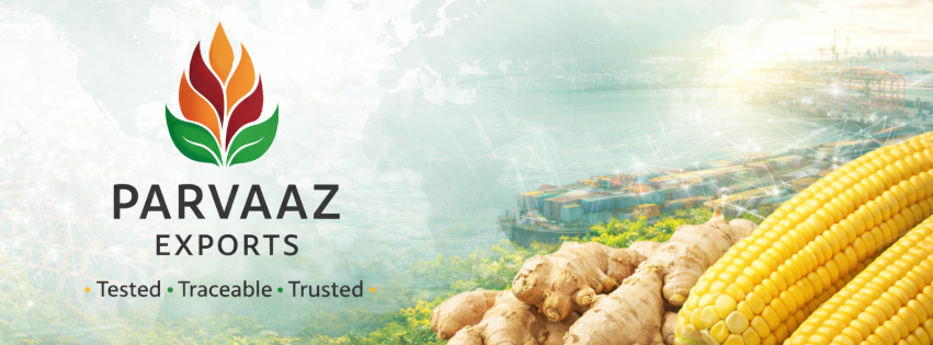 parvaaz Exports LLP Banner