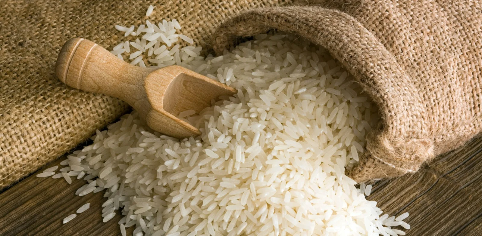 Vc Global Export Banner