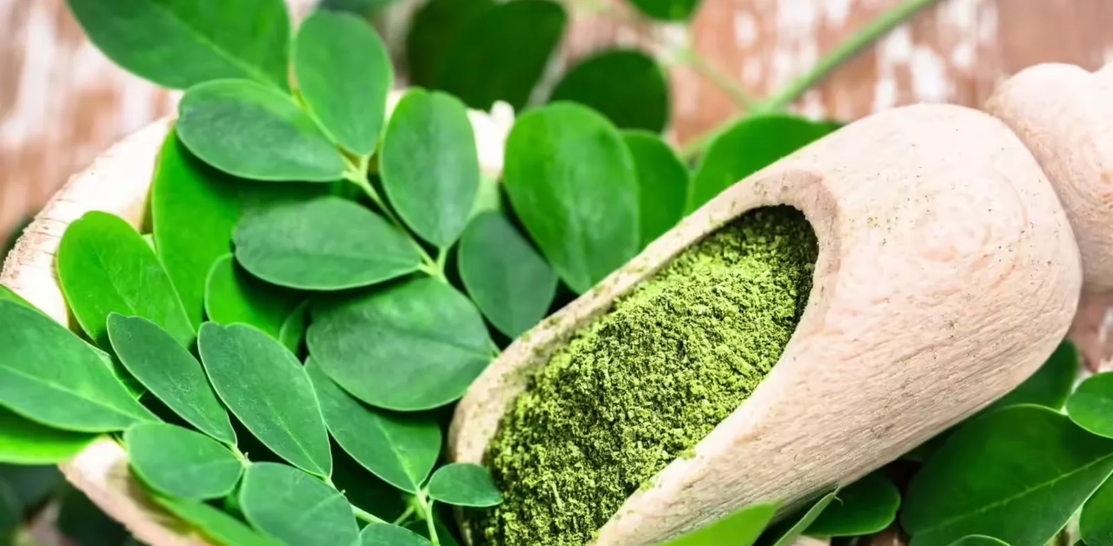 A To Z Services Banner