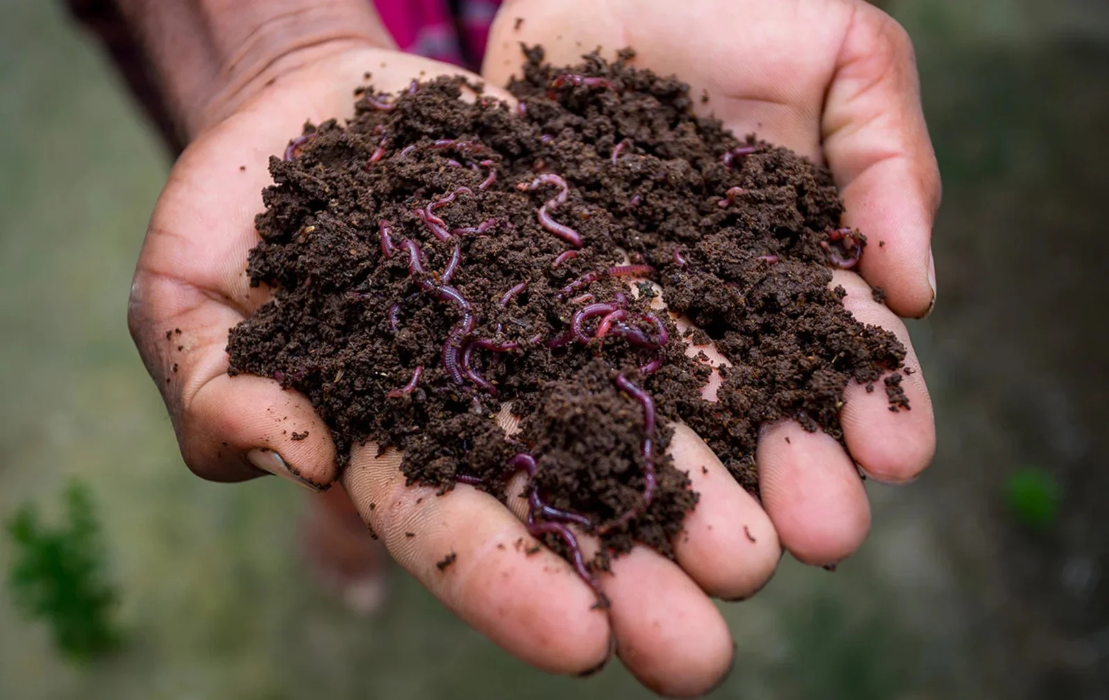 OM SHIV SHANTI TRADING Banner