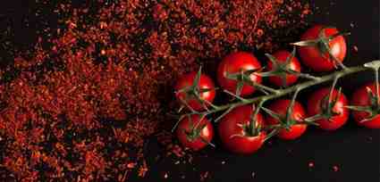 TRITONE IMPEX Banner