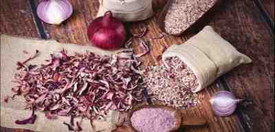 TRITONE IMPEX Banner