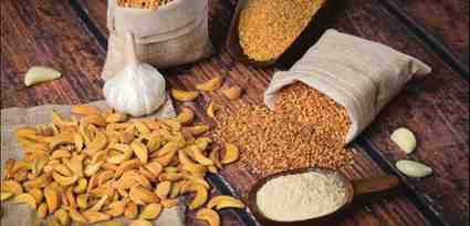 TRITONE IMPEX Banner