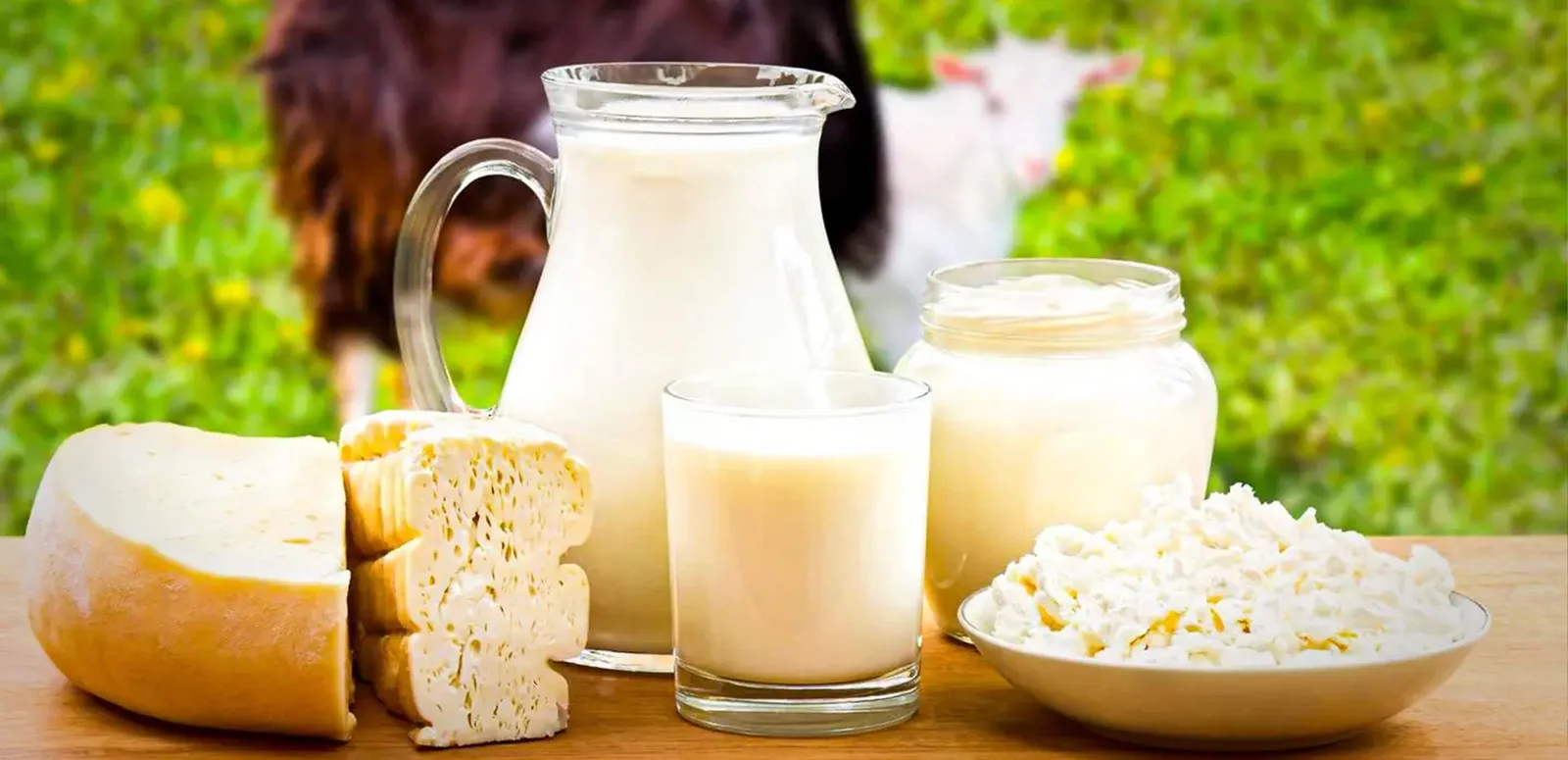 T & B Goat Farm Banner