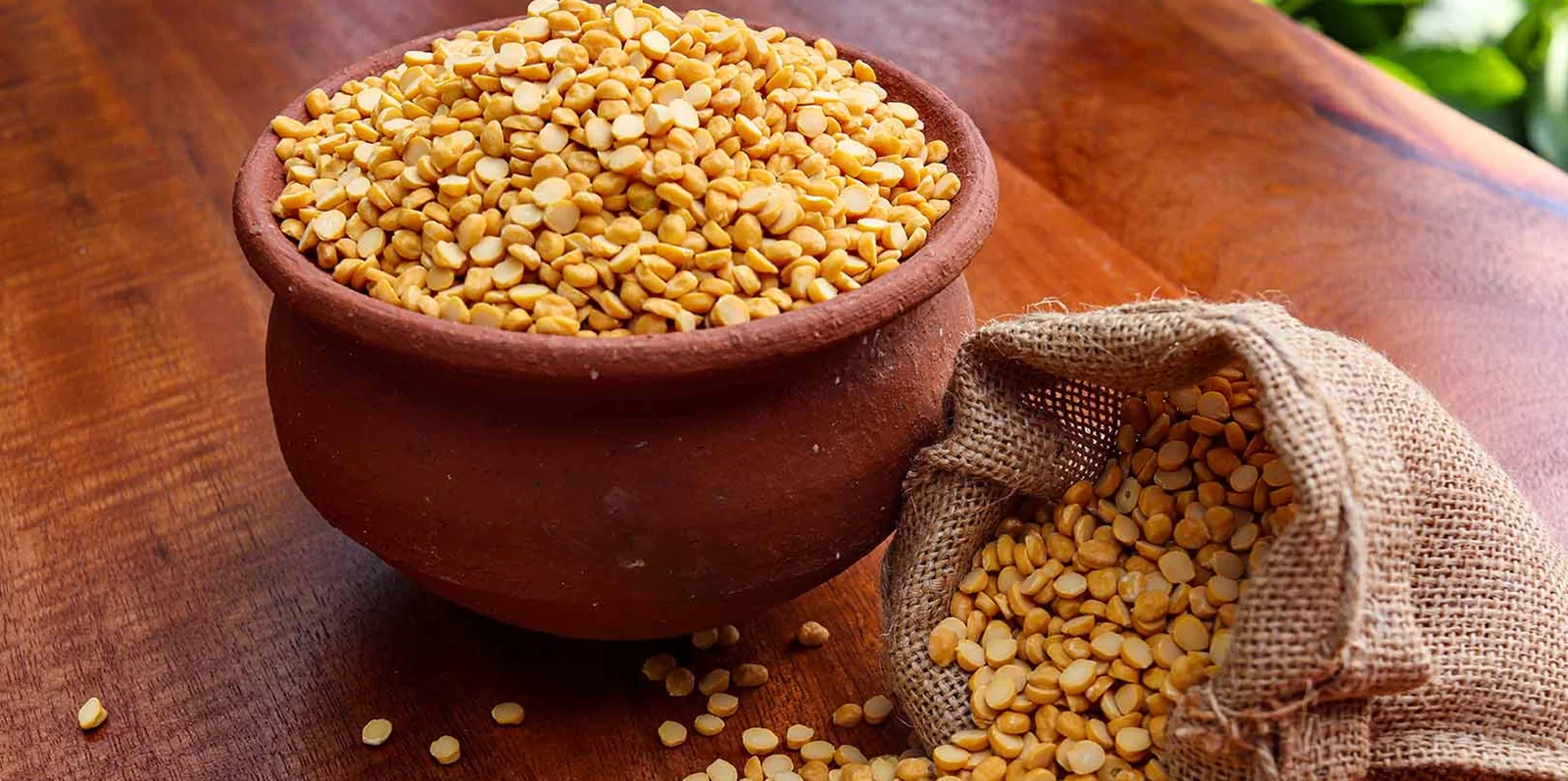 Vidharbha 1800 Organic Gold Agro Solution Banner