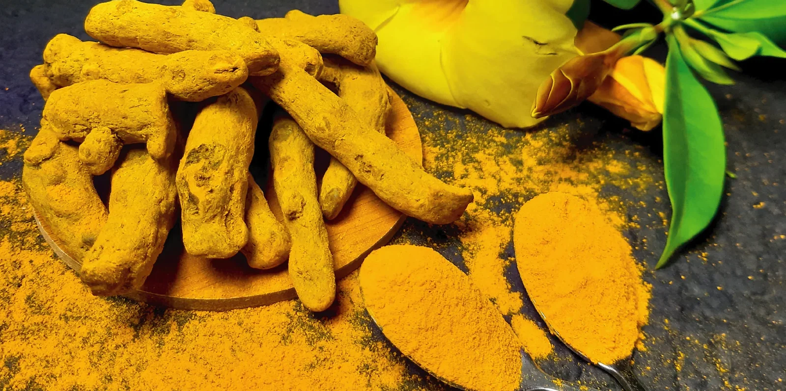 Vidharbha 1800 Organic Gold Agro Solution Banner