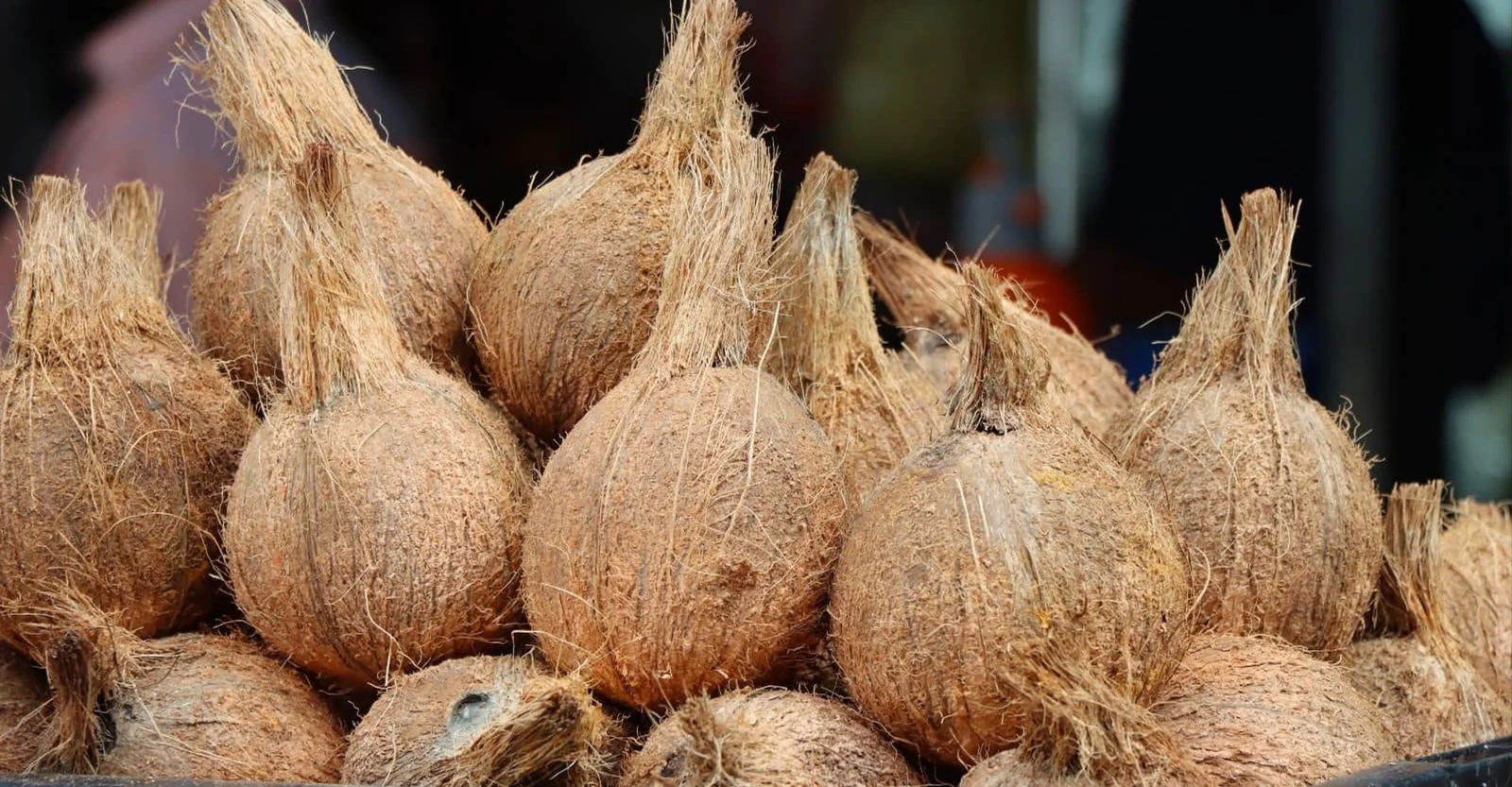 Hindustan Enterprises Banner