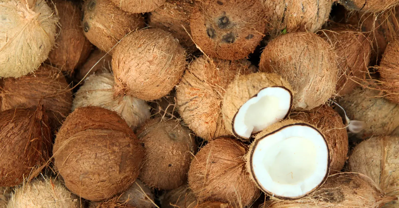 Hindustan Enterprises Banner