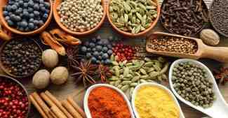 SAHYADRI WORLD TRADE Banner