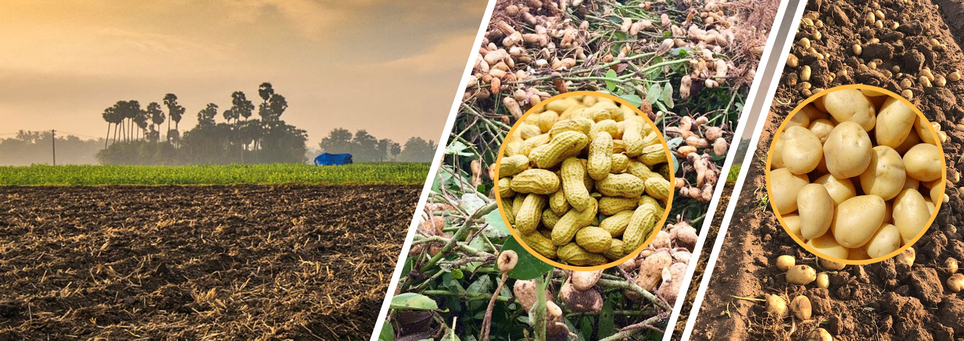 Nilkanth agro centre Banner