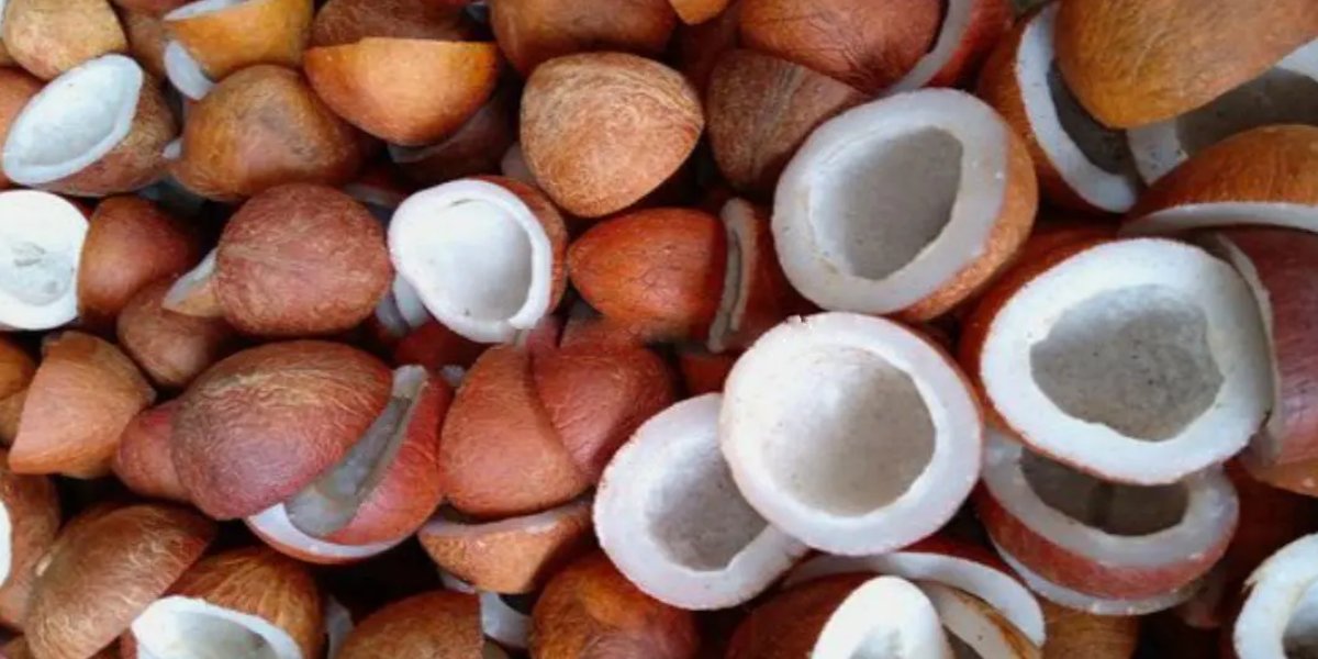 M K EXPORTERS Banner