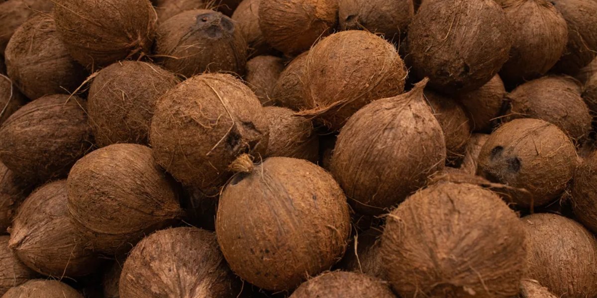 M K EXPORTERS Banner