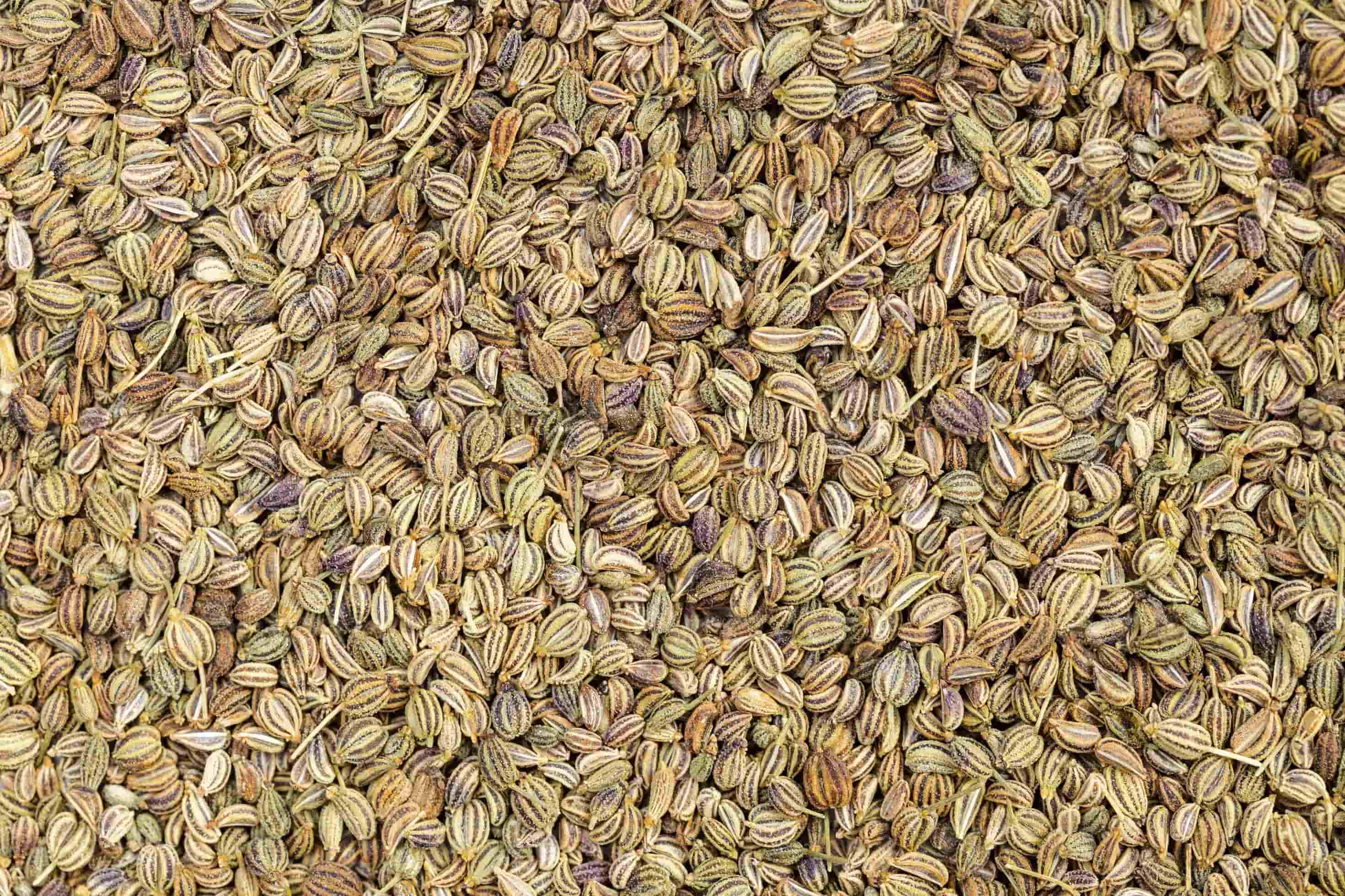 SATYAS E3 MARKET (OPC) PVT. LTD. Banner