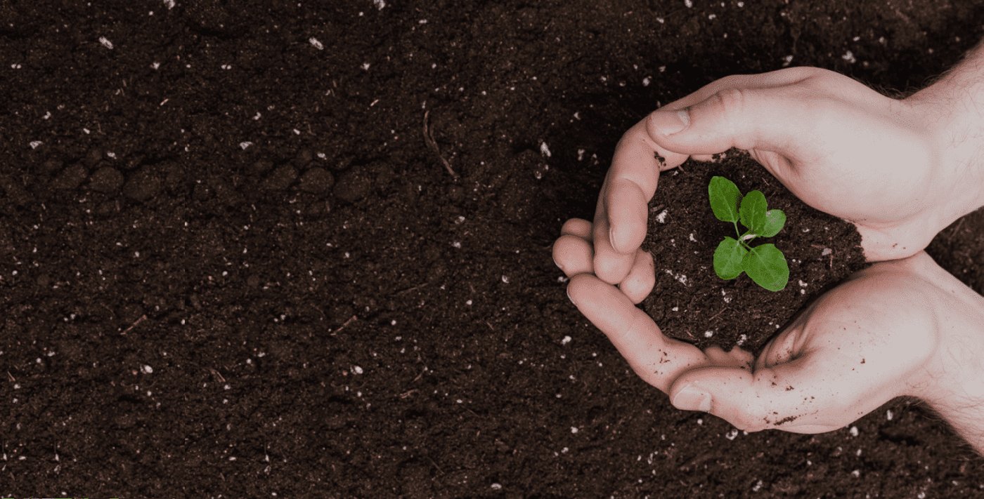 SHRESTHA BIO ORGANICS Banner