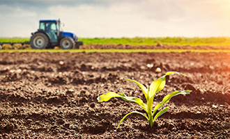 Agriculture