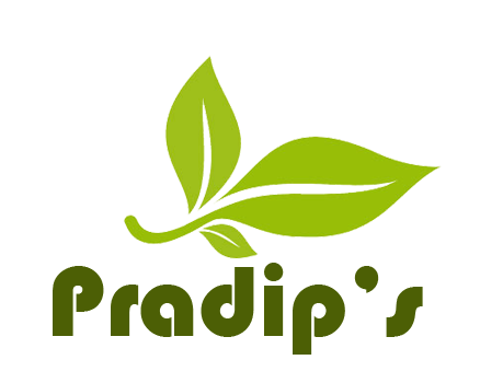 Pardip mahanta Logo