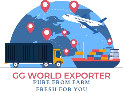 GG World Exporter Logo