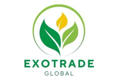 Exotrade Global Logo