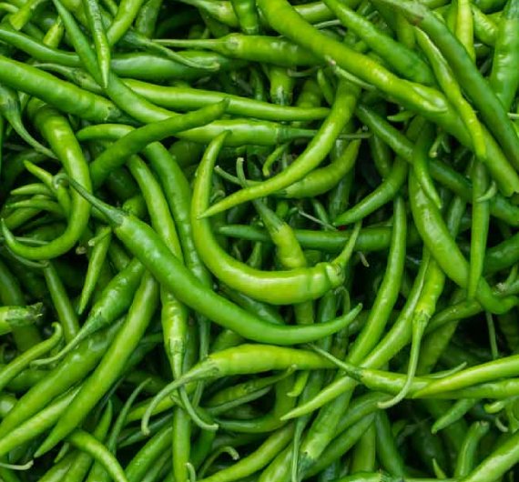Green Chilli