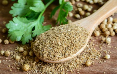 Coriander Powder
