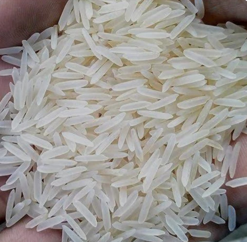 1509 Basmati rice
