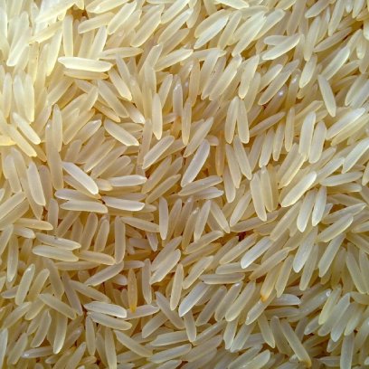 1121 Basmati Rice