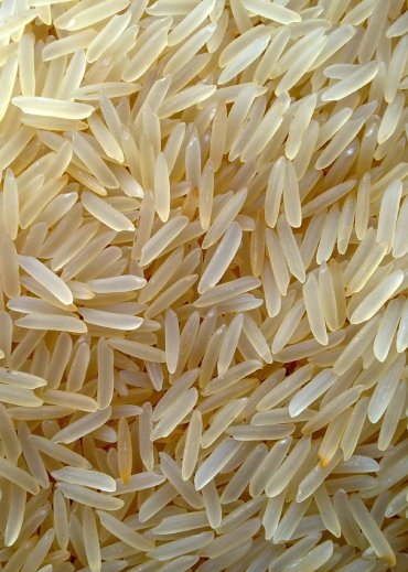 1121 Basmati Rice